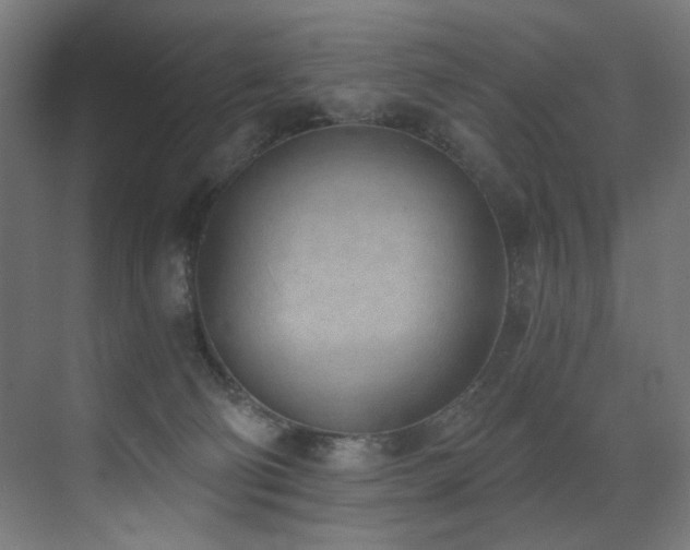 X0000072980130200607211259