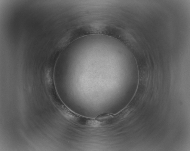 X0000072980131200607211259
