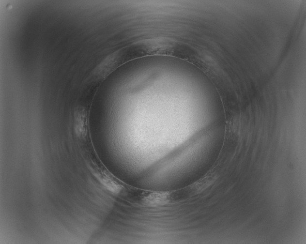 X0000072980138200607211259