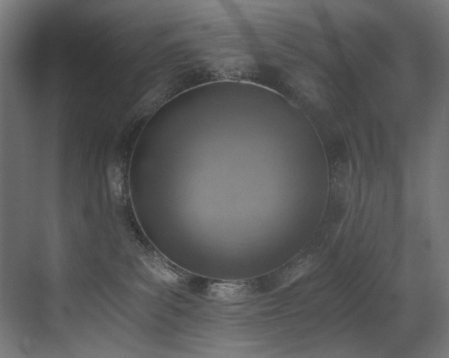 X0000072980139200607211259
