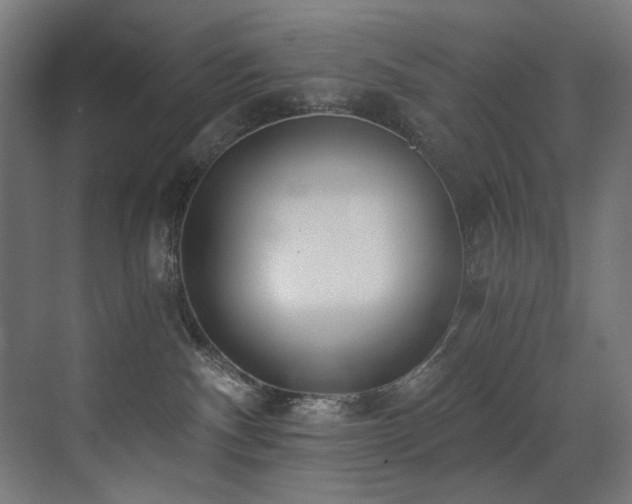 X0000072980140200607211259