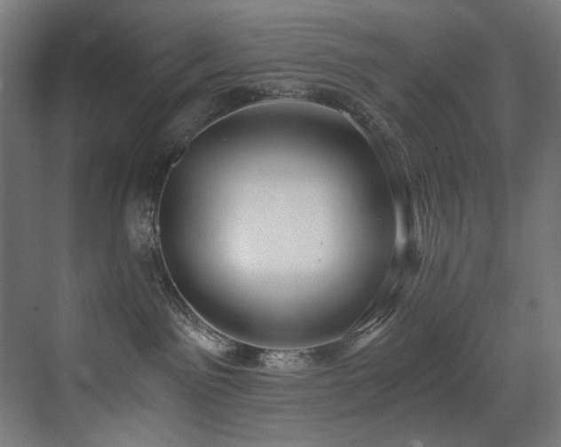 X0000072980141200607211259