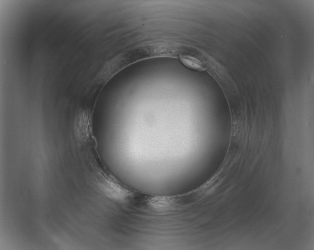 X0000072980142200607211259