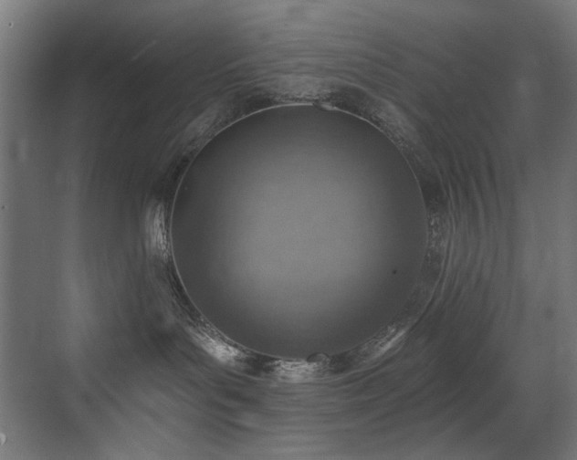 X0000072980143200607211259