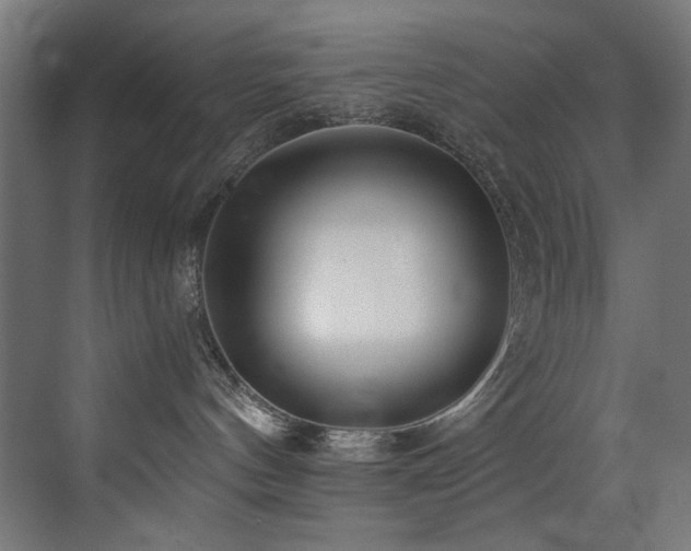 X0000072980144200607211259