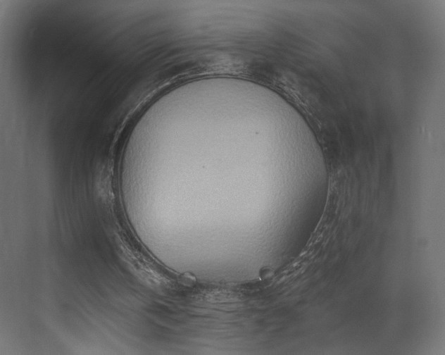 X0000072980146200607211258