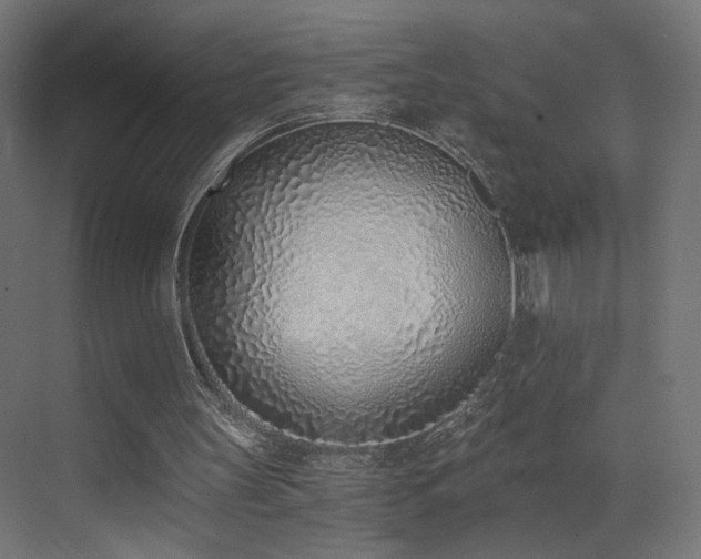 X0000072980147200607211258
