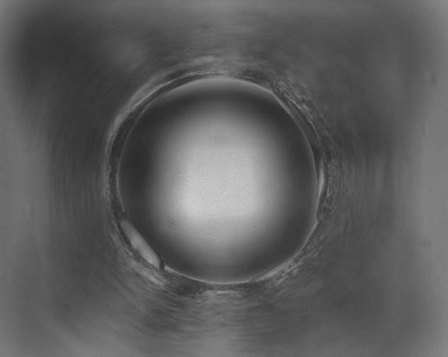X0000072980150200607211258