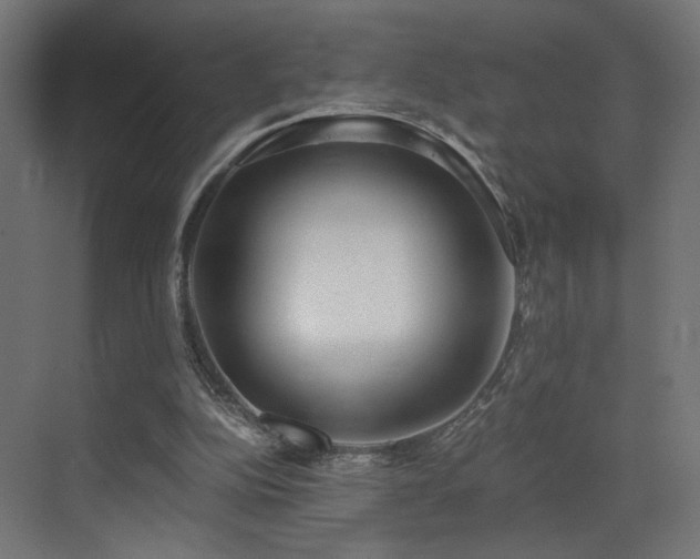 X0000072980152200607211258
