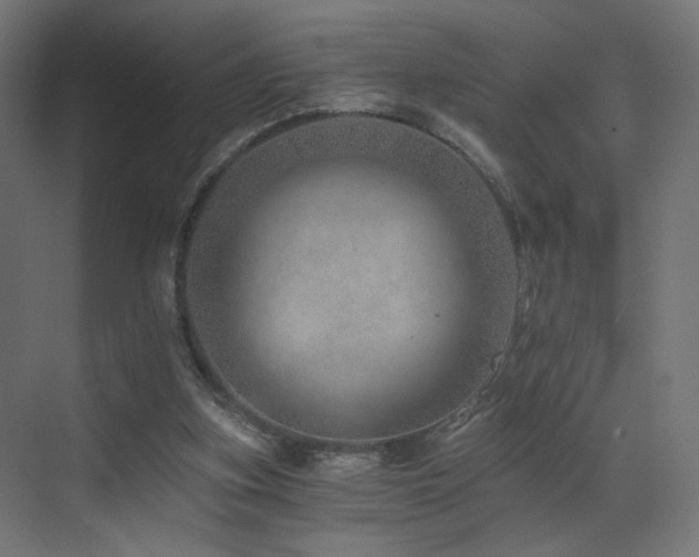 X0000072980155200607211258