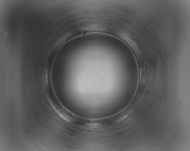 X0000072980157200607211258