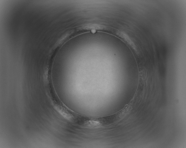 X0000072980159200607211258