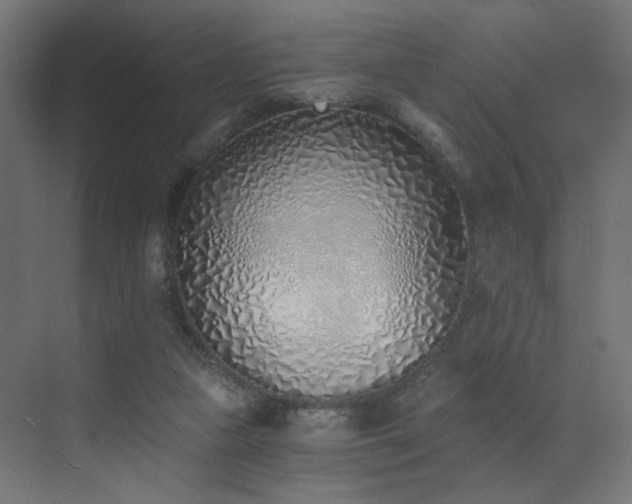 X0000072980161200607211258