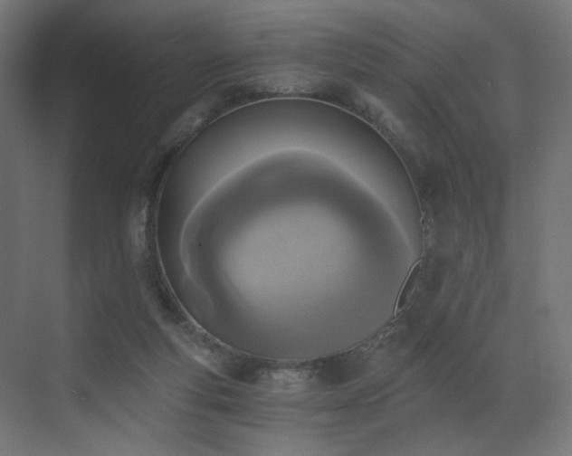 X0000072980163200607211258