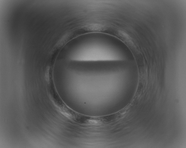 X0000072980167200607211258