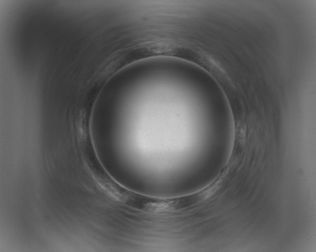 X0000072980170200607211258