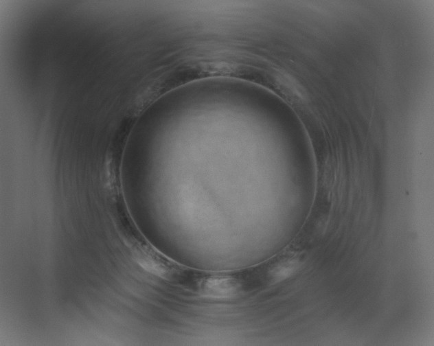 X0000072980173200607211259