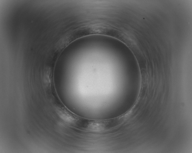 X0000072980174200607211259