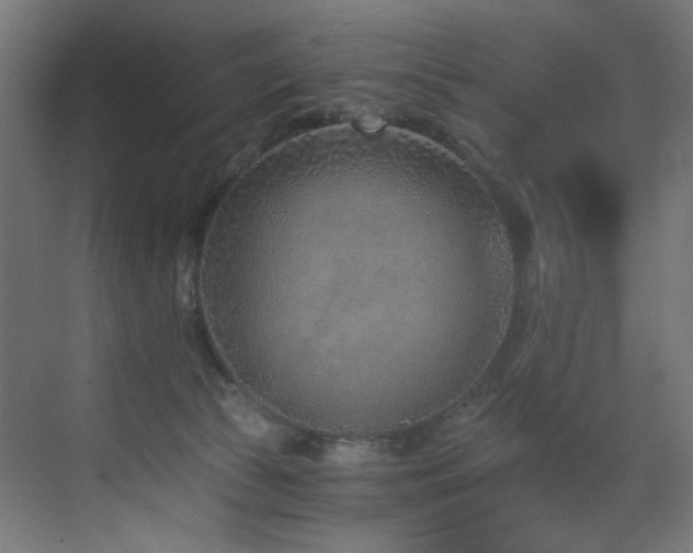 X0000072980177200607211259