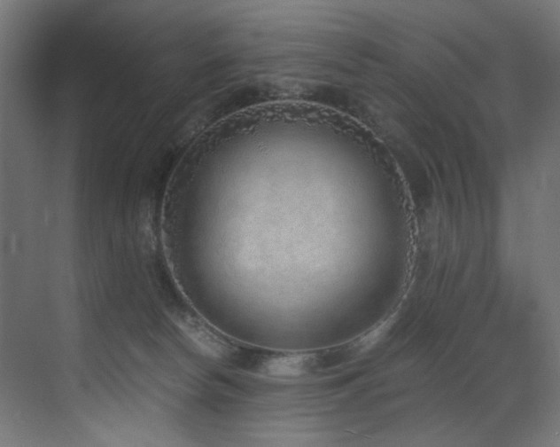 X0000072980178200607211259