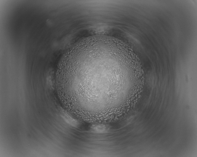 X0000072980181200607211259