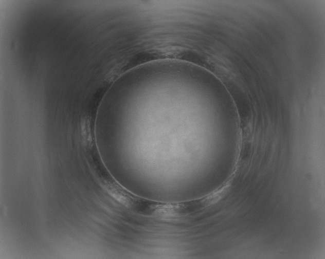X0000072980182200607211259