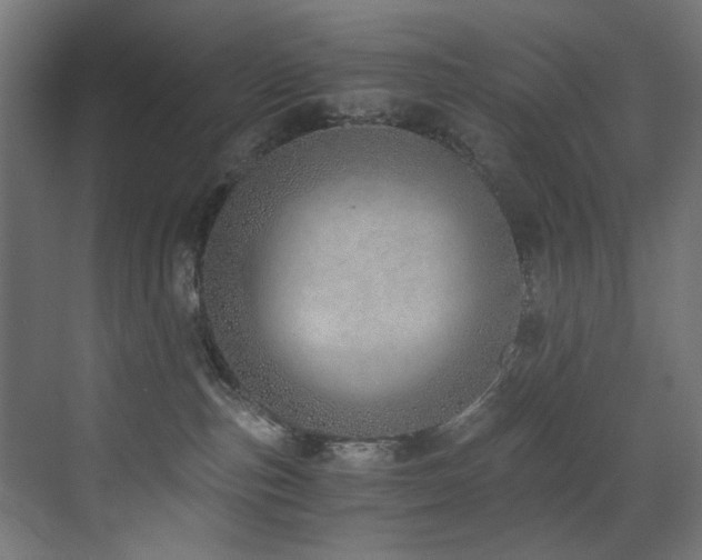 X0000072980187200607211259