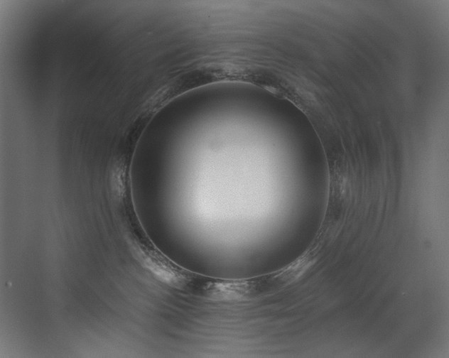 X0000072980188200607211259