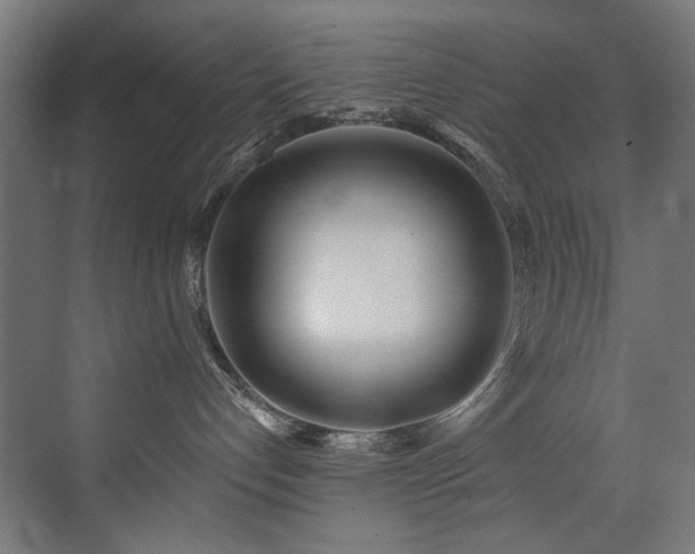 X0000072980192200607211259