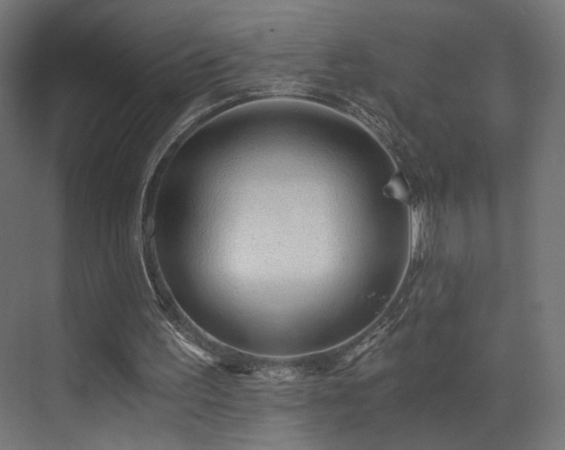 X0000072980195200607211258