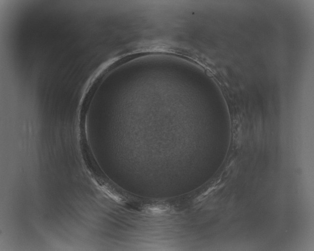 X0000072980200200607211258