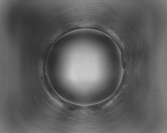 X0000072980201200607211258