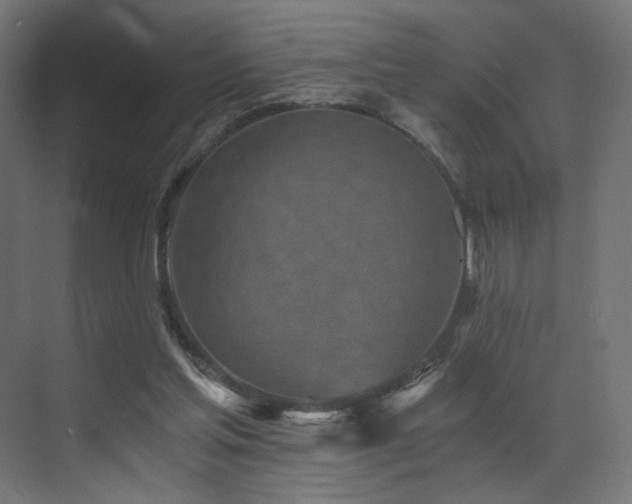 X0000072980205200607211258