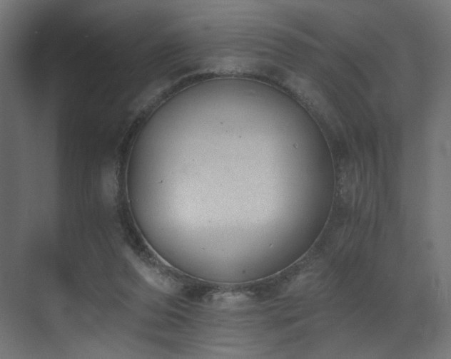 X0000072980208200607211258