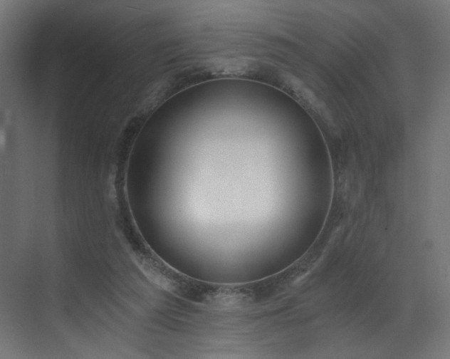 X0000072980209200607211258