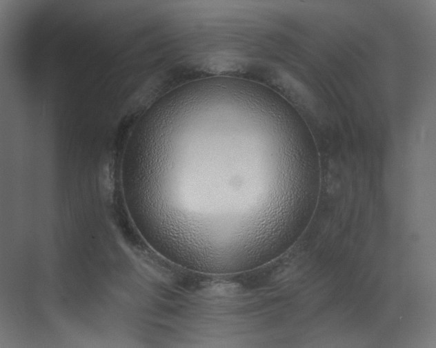 X0000072980210200607211258