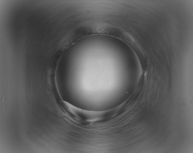 X0000072980217200607211258