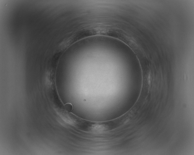 X0000072980218200607211258