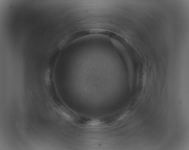 X0000072980219200607211258