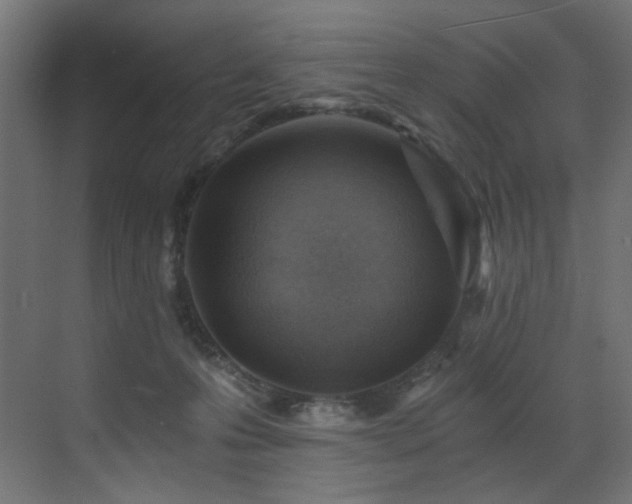 X0000072980223200607211258