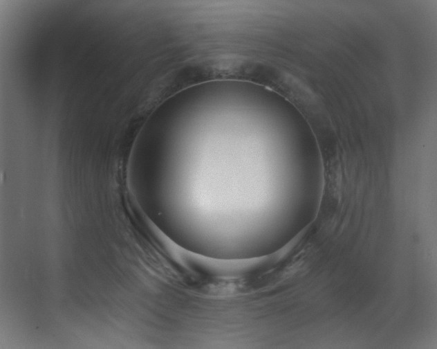 X0000072980225200607211257