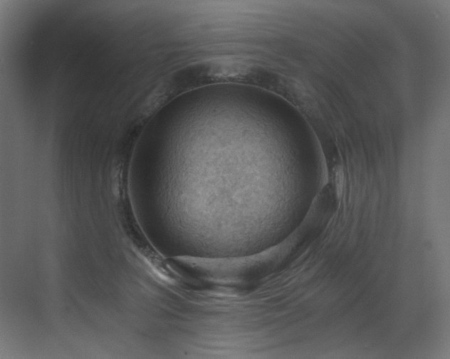 X0000072980227200607211257