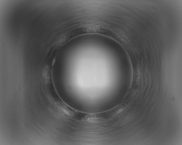 X0000072980228200607211257