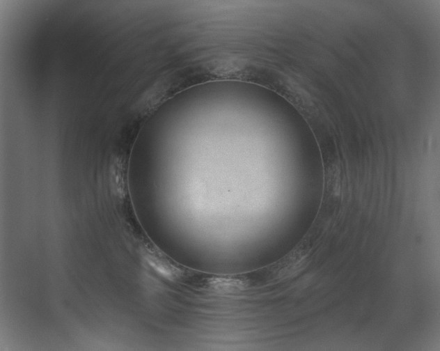 X0000072980234200607211257