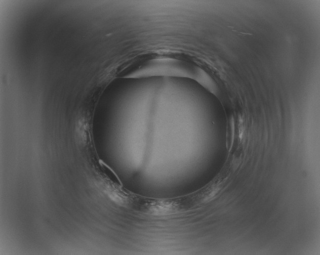 X0000072980235200607211257
