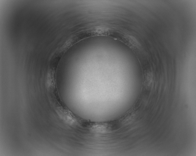 X0000072980236200607211257