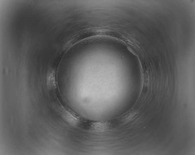 X0000072980238200607211257