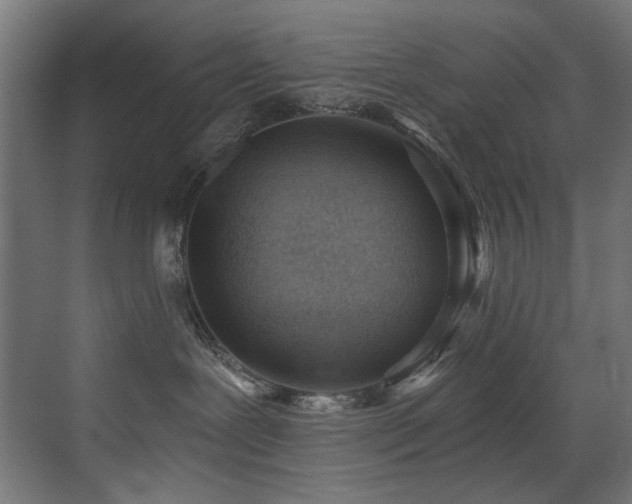 X0000072980239200607211257