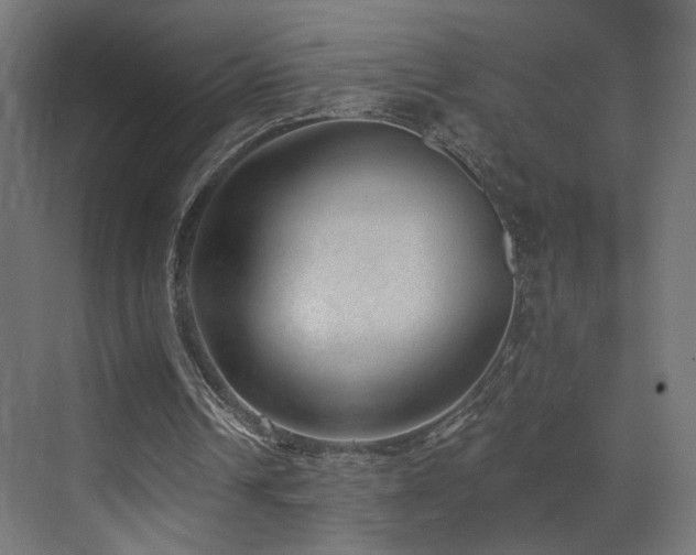 X0000072980242200607211256