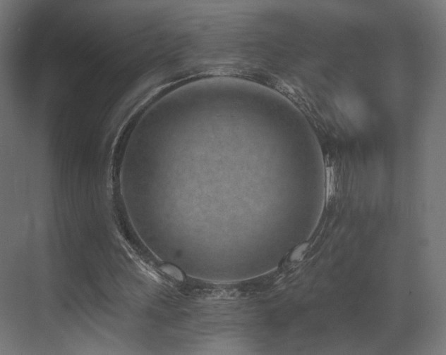X0000072980243200607211256